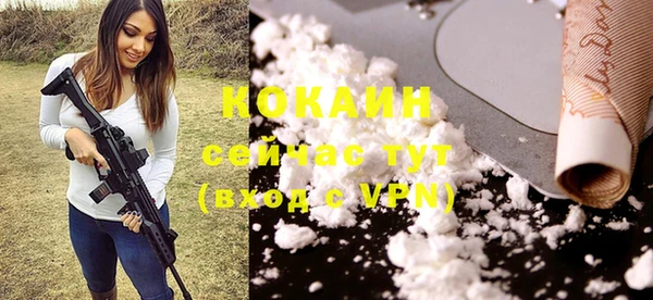 не бодяженный Арсеньев