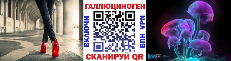даркнет сайт Облучье Псилоцибиновые грибы Psilocybine cubensis