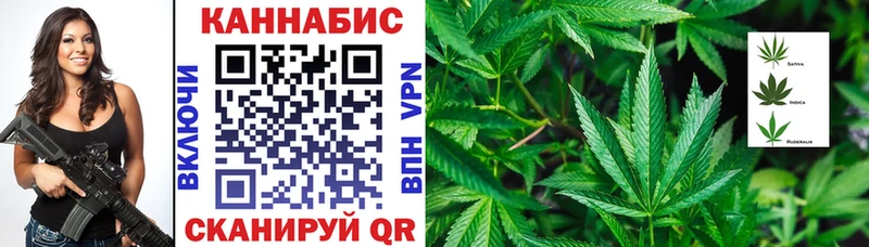 Бошки марихуана семена darknet Telegram Облучье